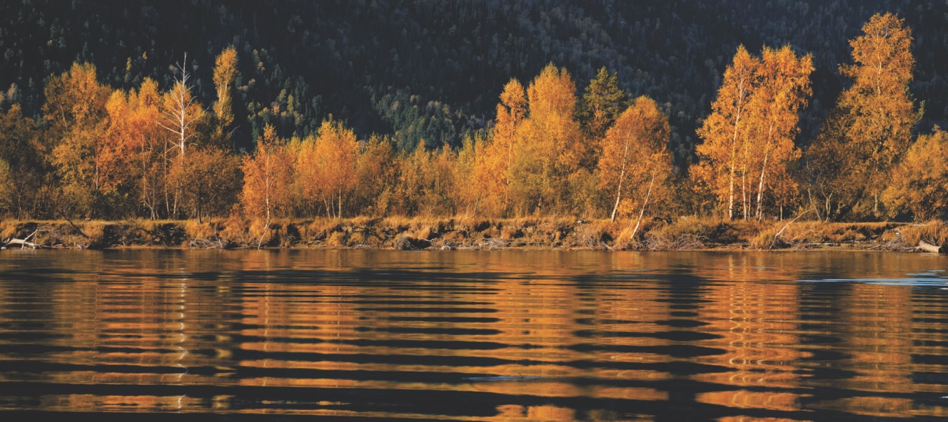 Дикие места