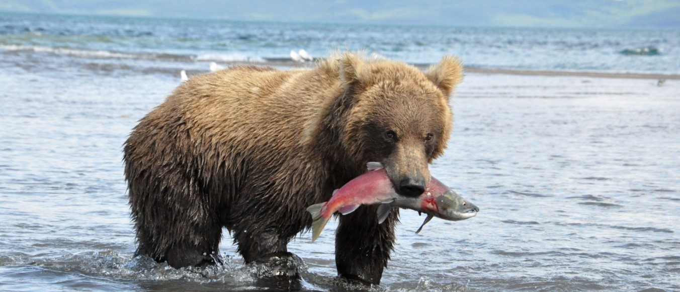 Курильское озеро