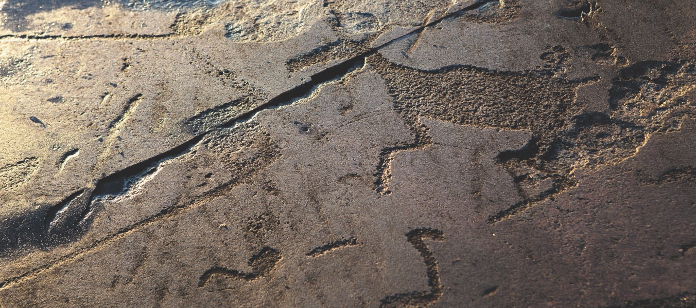 Беломорские петроглифы