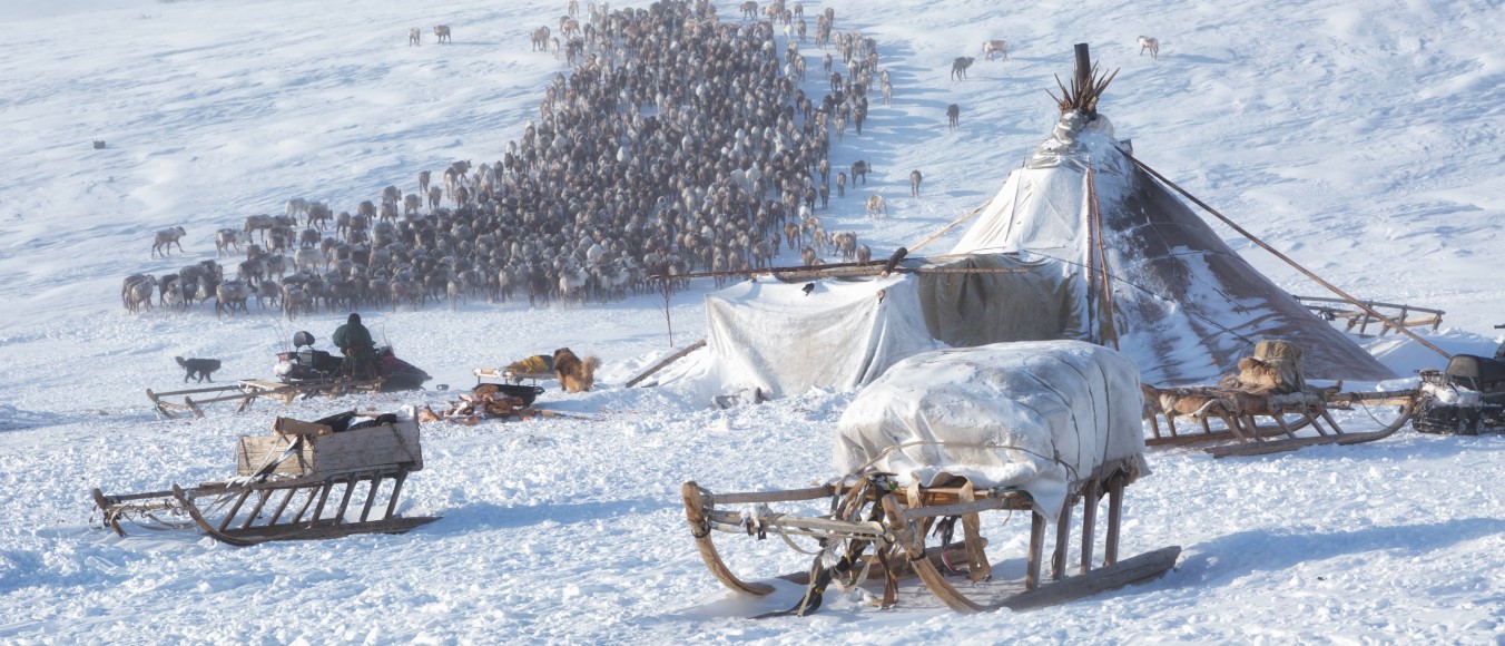 Горнокнязевск